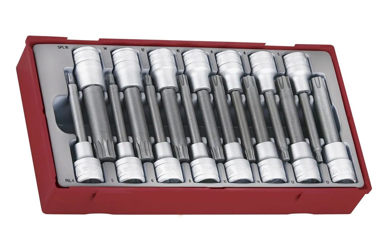 DOP BITSENSET RIBE EN SPLINE TT1 TRAY 1/2" 15 DELIG TENG TOOLS