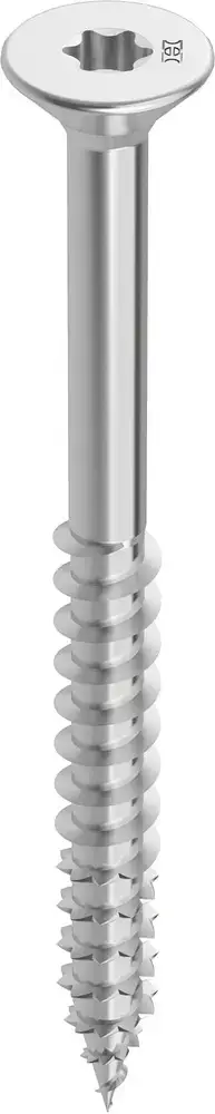 HECOFIXPLUS UNIVERSELE SCHROEF RVS 6,0X100 MM TORX 100 STUKS